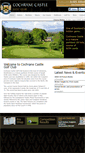 Mobile Screenshot of cochranecastle.com